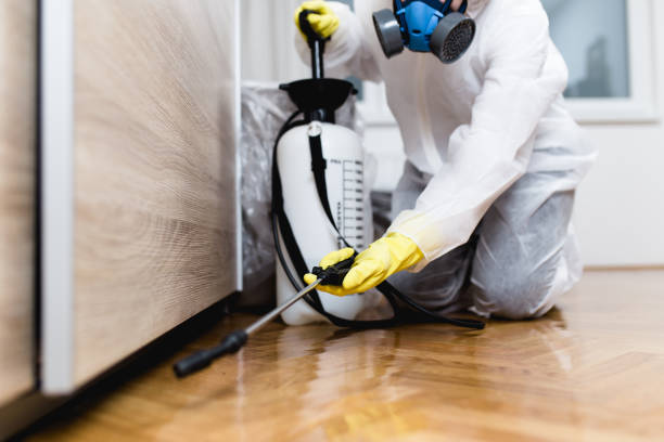 Best Commercial Pest Control Services  in Bruceton, TN
