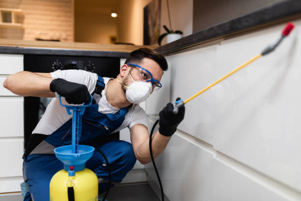 Best Flea Control Services  in Bruceton, TN