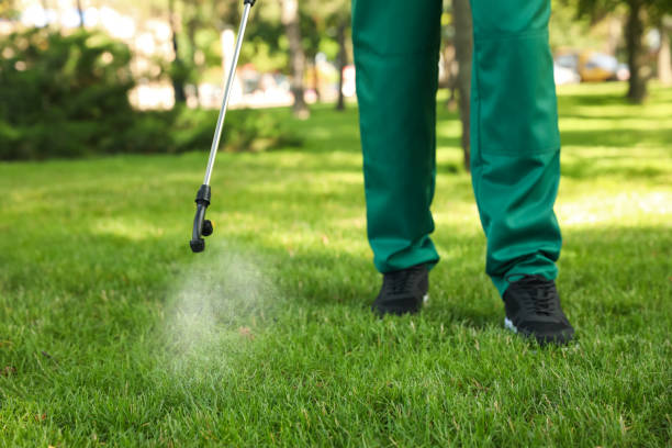 Best Cockroach Control Services  in Bruceton, TN