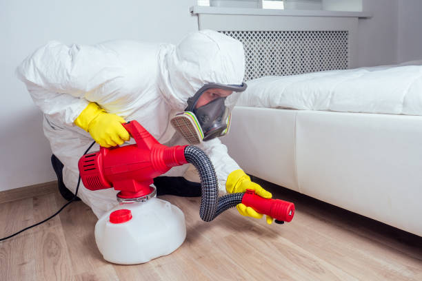 Best Insect Control  in Bruceton, TN