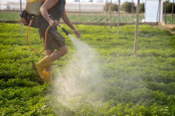 Insect Control in Bruceton, TN
