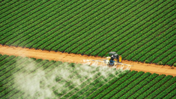 Best Termite Control Services  in Bruceton, TN
